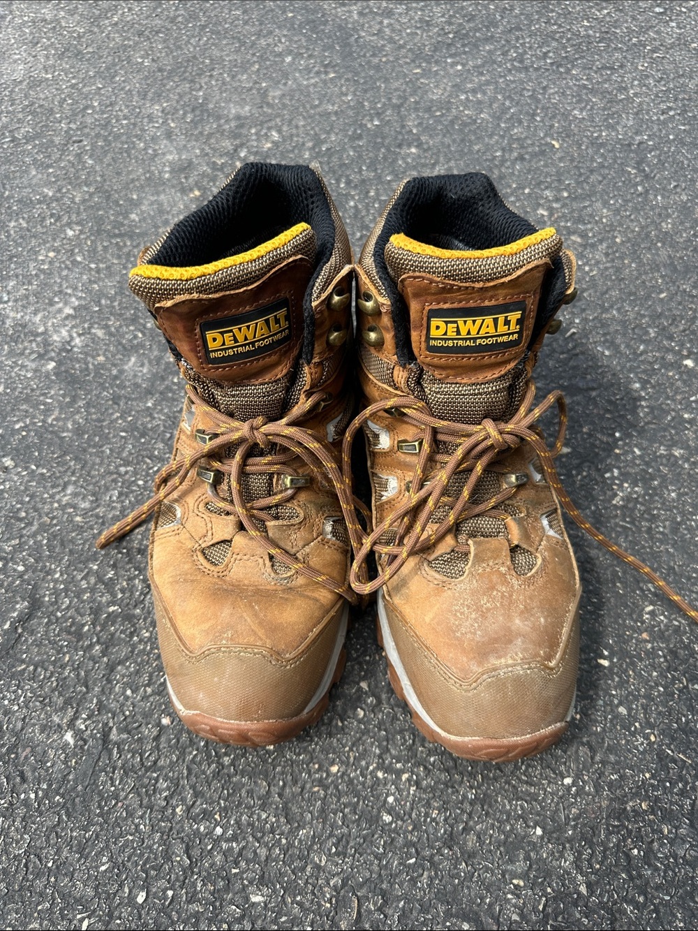DEWALT Men's Brown Work Boots - Durable Safety Footwear